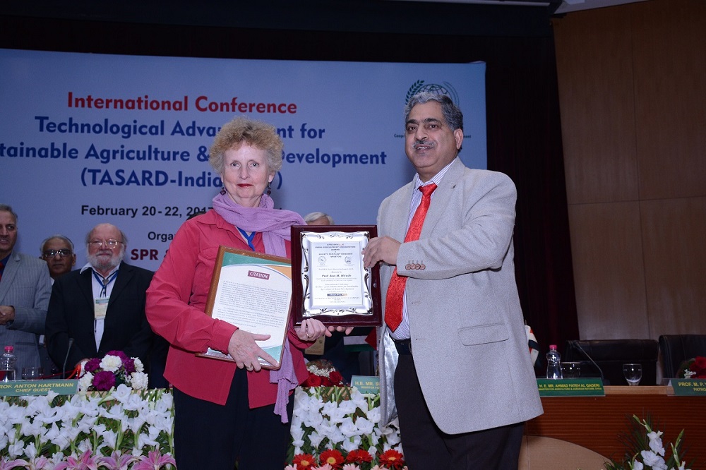 Prof. Ann M. Hirsch